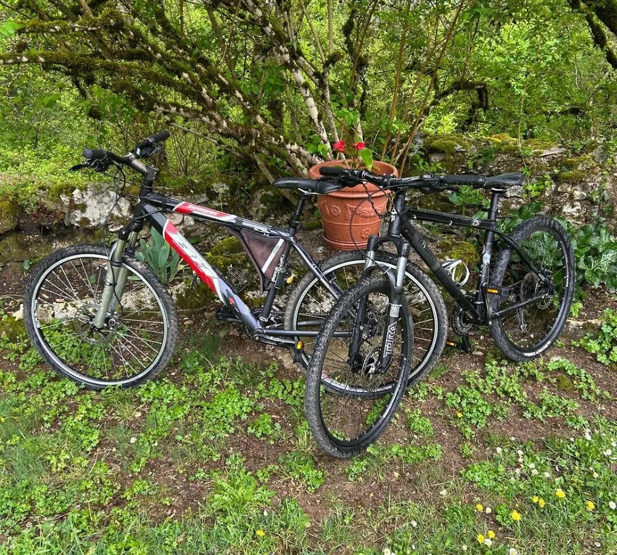 Le Dolmen, Charme Sport Et Detente Saint-Chels 度假居