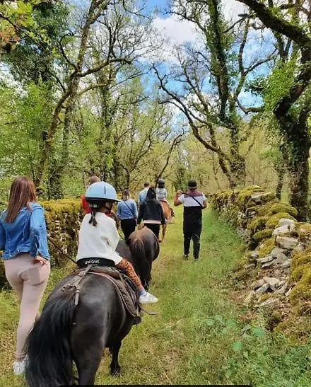 Le Dolmen, Charme Sport Et Detente Saint-Chels 0*,  法国